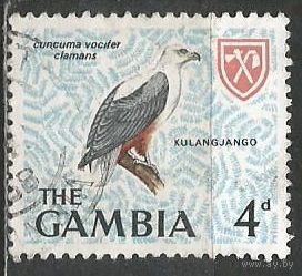 Гамбия. Птицы. Орлан-крикун. 1966г. Mi#215.