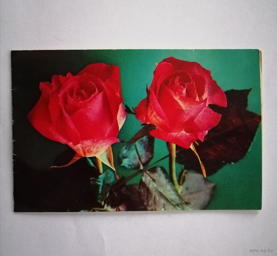 Открытка из СССР, 1977г., подписанная.