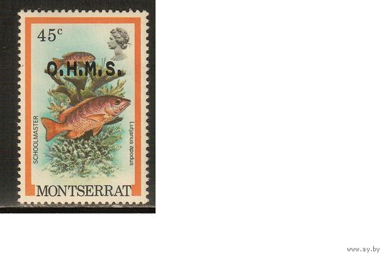 Монтсеррат-1981(Мих.37) , **    , Морская Фауна , Рыбы,Надп.