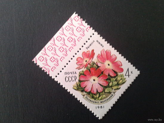 Ссср 1981. Первоцвет маленький.