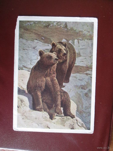 Почтовая карточка.СССР.1963г.
