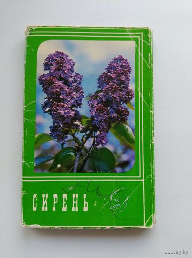 Сирень. Набор фотооткрыток. 30 штук. 1976 год