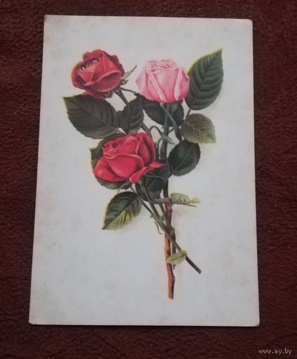 Открытка подписанная 1955г.