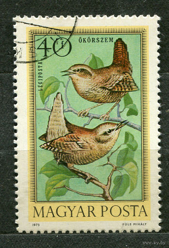 Птицы. Крапивник. Венгрия. 1973