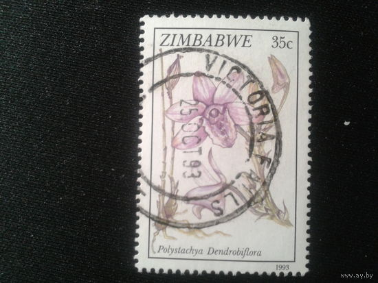 Зимбабве, 1993. Орхидея