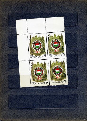 СССР, 1985,  900 лет ЛУЦКУ,  серия1м, в  к/блок,  гашеная