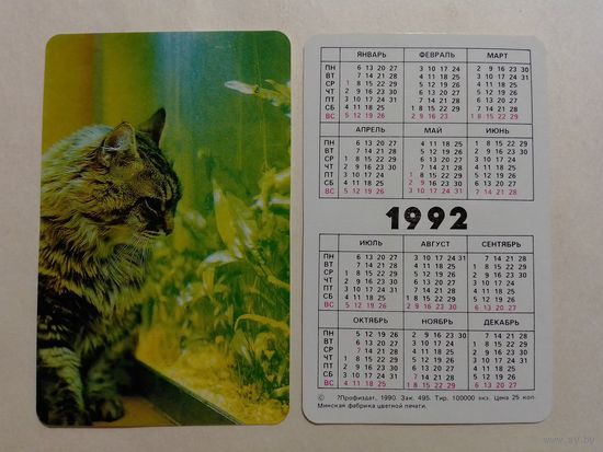 Карманный календарик. Котик.1992 год