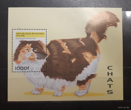 Республика Гвинея. 1996 год. Фауна. Кошки (764)