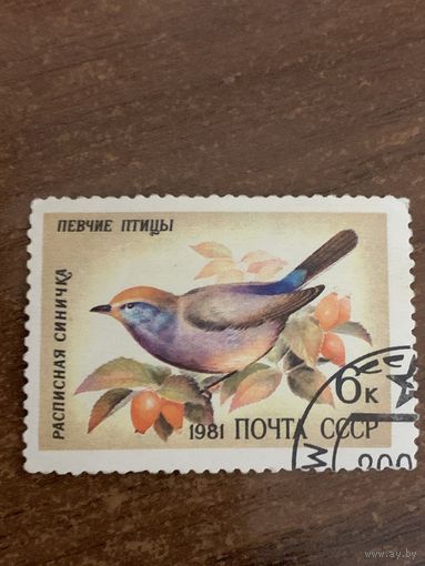 СССР 1981. Расписная синичка. Марка из серии