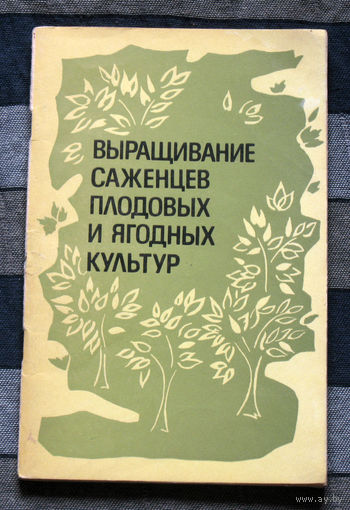 Выращивание саженцев плодовых и ягодных культур.