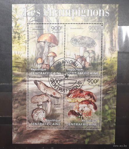 Центральная Африка. 2013 год. Флора. Грибы. Блок (1012)