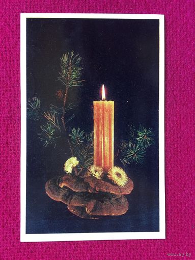 С Новым Годом! Калва 1979 г.