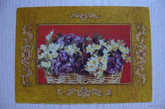 Новодворский В., Надточий Л., Композиция из цветов, 1976, 1977, чистая.