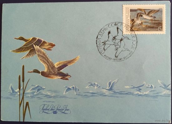 КПД с спецгашением. Утки. 1990 г.
