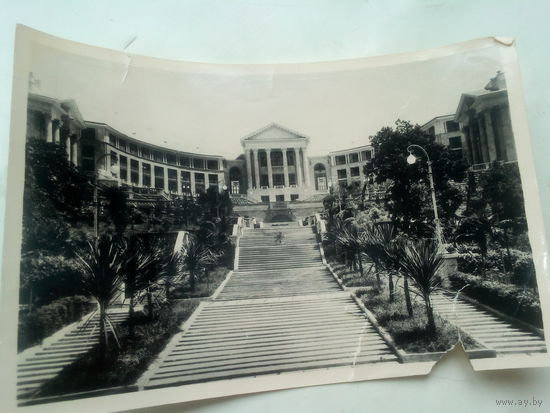 Открытка "Сочи" 1958 г