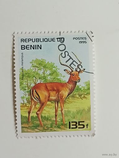 Бенин 1995. Млекопитающие
