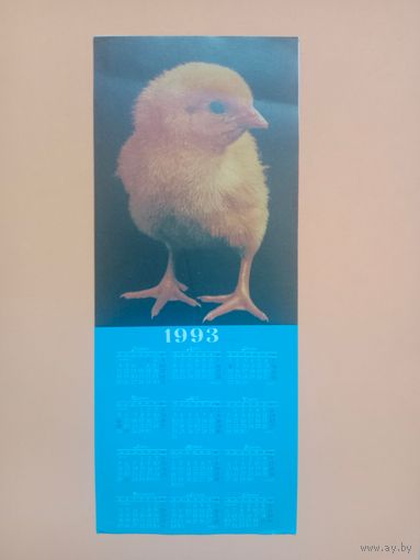Календарь 1993