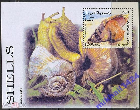 Фауна Улитки Моллюски 1999 Сомали MNH