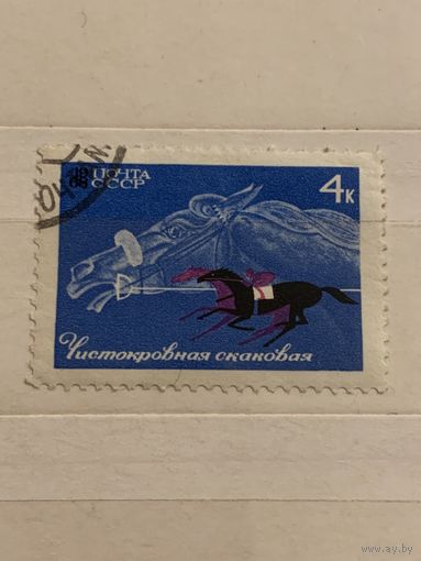 СССР 1968. Чистокровная скаковая