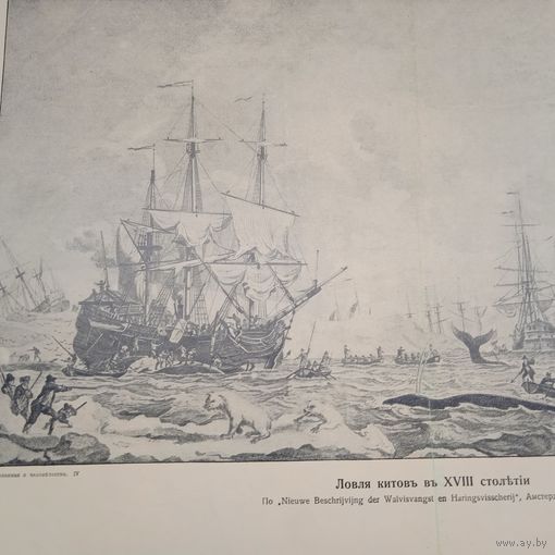 Ловля китов въ 18 столетии. Старинная литография 19-20века 38х28см. СПБ.