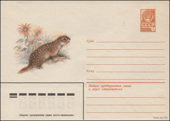 Художественный маркированный конверт СССР N 14678 (03.12.1980) [Суслик крапчатый]
