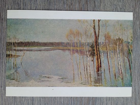 1951. Глущенко. Разлив