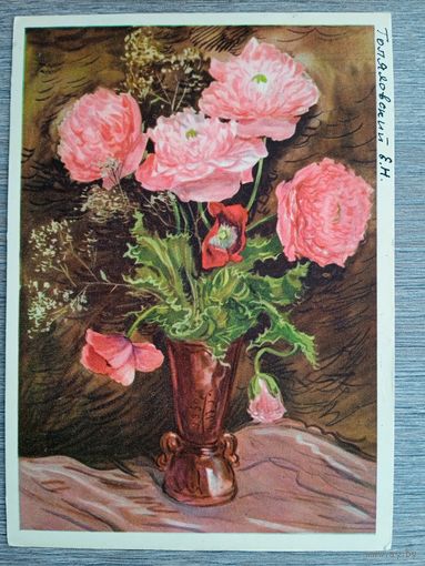 1957. цветы. Голяховский. Розовые маки