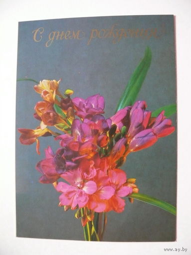 Савалов Е., С днем рождения! 1985, чистая.