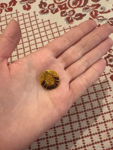 Герб республика БЕЛАРУСЬ ЗНАЧОК С РУБЛЯ