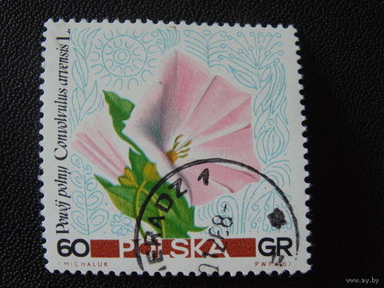 Польша 1967 г. Флора.
