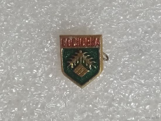 Значок. Сосновка.