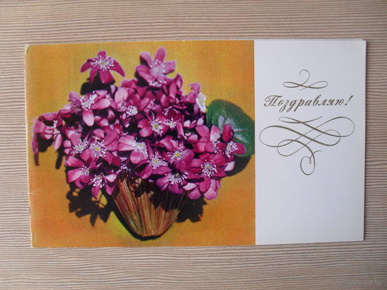 ДВОЙНАЯ ЧИСТАЯ ОТКРЫТКА.СССР. ПОЗДРАВЛЯЮ. 1974 год. фото. К. ЖАРИНОВОЙ.