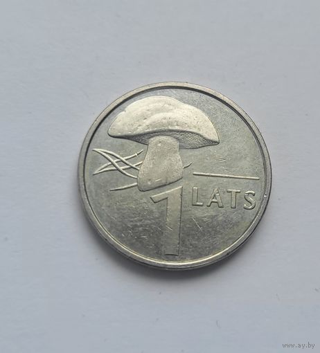 1 лат 2004 года гриб