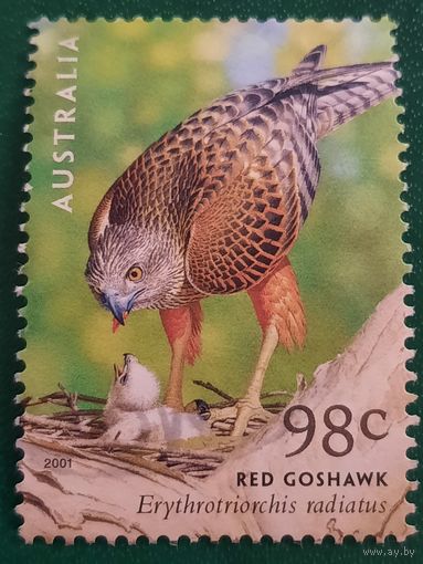 Австралия 2001. Фауна. Red Goshawk