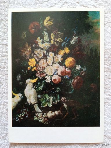 Миньон. Натюрморт с какаду