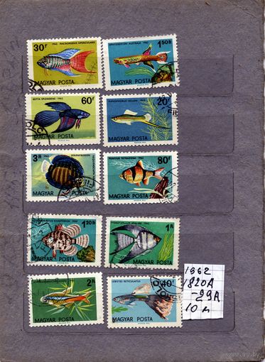 ВЕНГРИЯ, 1962,  Рыбы, серия 10м, гашен