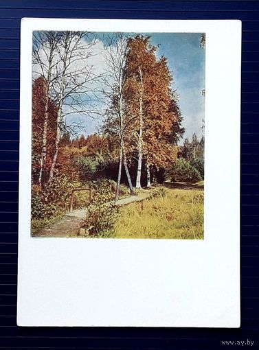 СССР 1963г. ДМПК. фото Кудрявцева. Березы.Чистая.