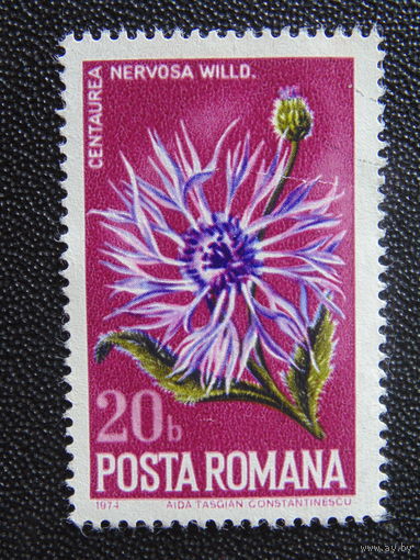 Румыния 1974 г. Цветы.