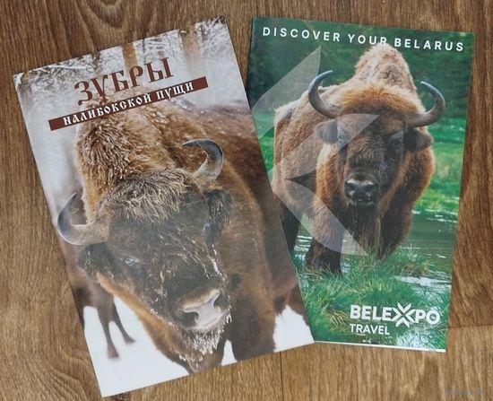 Зубры Налибокской пущи.