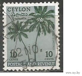 Цейлон. Кокосовые пальмы. 1951г. Mi#268.