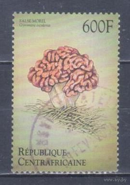 [1688] ЦАР 1999. Грибы. Концовка серии.Гашеная марка.