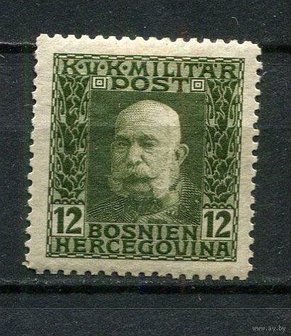 Босния и Герцеговина (Австро-венгерская администрация) - 1912/1914 - Кайзер Франц Иосиф I 12H - [Mi.70] - 1 марка. MH.  (Лот 8JC)-TG3P59