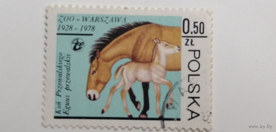 Польша 1978. Животные зоопарка