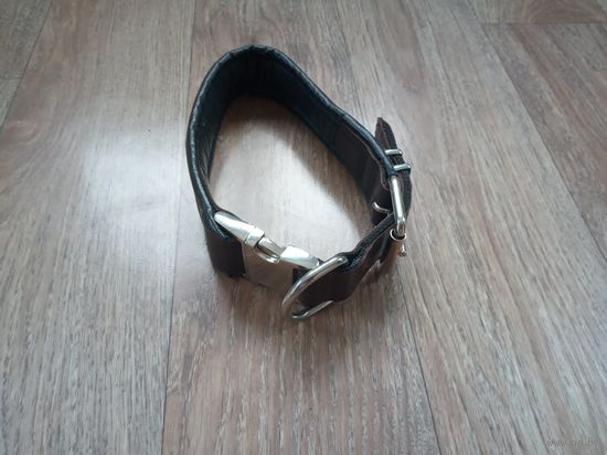 Ошейник для собак