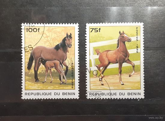 Бенин. 1996 год. Фауна. Лошади (108)