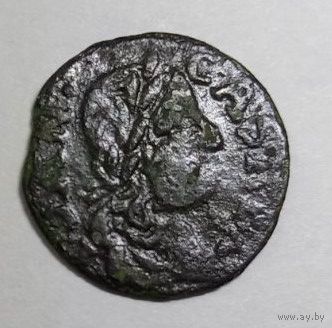 Боратинка фальш 16