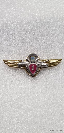 1 класс классность сухопутных войск Украина*