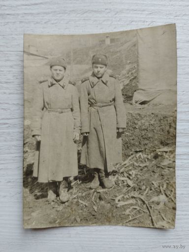 Фотография