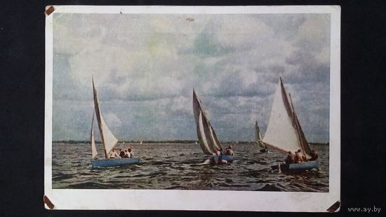 Открытое письмо 1954 год Яхты на Финском заливе ИЗОГИЗ