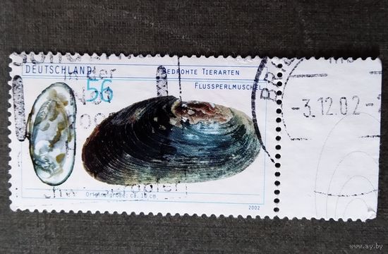 Марка Германия 2002 год Моллюски